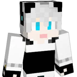Dream_winter Minecraft avatar bust