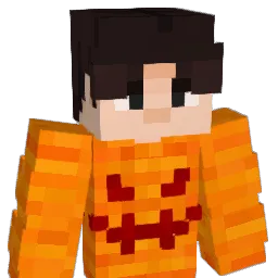 Dreamerk_ Minecraft avatar bust