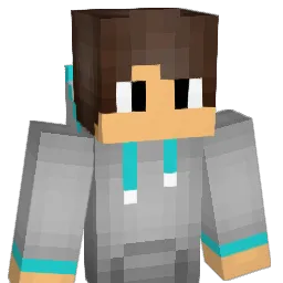 Dreylon1 Minecraft avatar bust