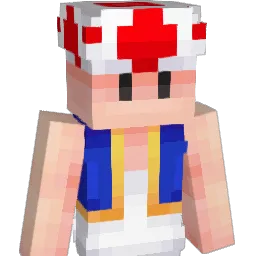 Drfroid2001 Minecraft avatar bust