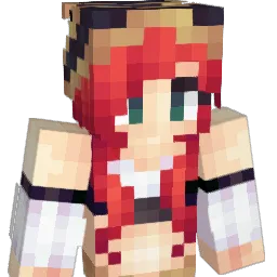 Drial95 Minecraft avatar bust