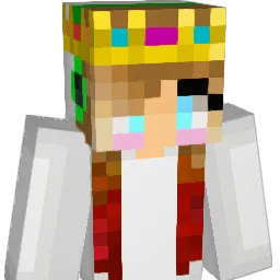 Drica19 Minecraft avatar bust