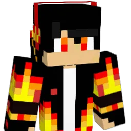 Dridri_44 Minecraft avatar bust