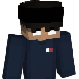 Dripsy_V1 Minecraft avatar bust