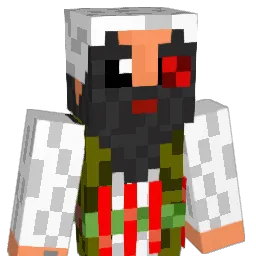 DrivHusPlante Minecraft avatar bust