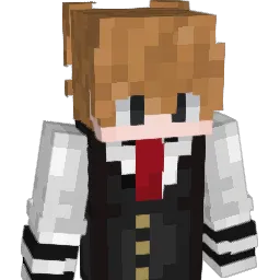 Driver1001's Minecraft skin
