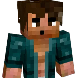 Drixco Minecraft avatar bust