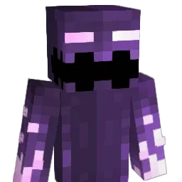 Drixyyyy Minecraft avatar bust
