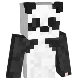 Drizzydris Minecraft avatar bust