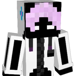 Drojnix_pl Minecraft avatar bust