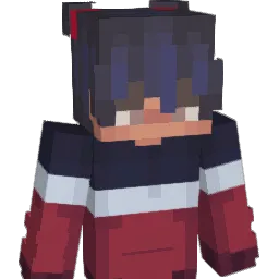 DroogWqter Minecraft avatar bust