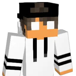Dropped2Fast Minecraft avatar bust
