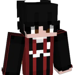 Droski_ Minecraft avatar bust