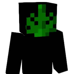 DrugFein Minecraft avatar bust