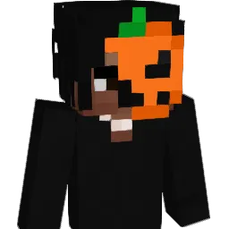 Drugzy Minecraft avatar bust