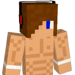 Drums144 Minecraft avatar bust