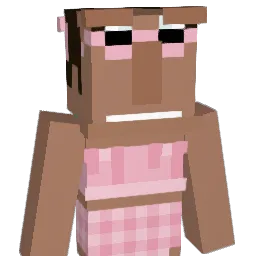 Drust_ Minecraft avatar bust