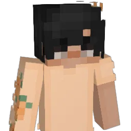 Drvwz Minecraft avatar bust