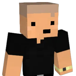 Dry2003 Minecraft avatar bust
