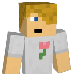 Ds_hex Minecraft avatar bust