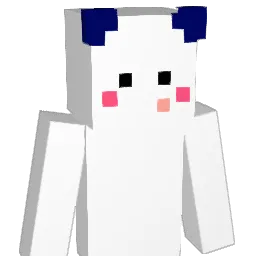 Dsa1416 Minecraft avatar bust