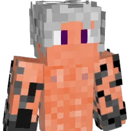DsheffArdoy Minecraft avatar bust