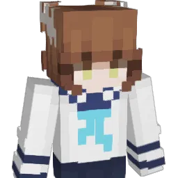 Dsmant1er Minecraft avatar bust