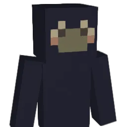 Dsun_hodu Minecraft avatar bust