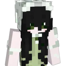 DuDuMier Minecraft avatar bust