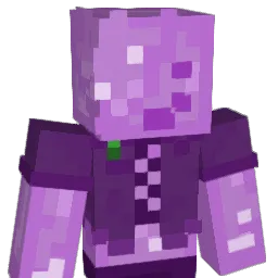 DuTrueTrueTrue Minecraft avatar bust