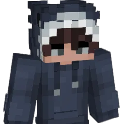 DualNinja_