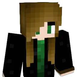 Dub12413 Minecraft avatar bust