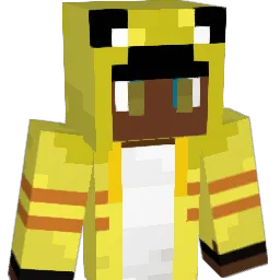 Dub_King205 Minecraft avatar bust