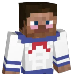 DuccMC's Minecraft skin