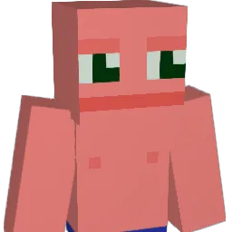 DuckActual Minecraft avatar bust