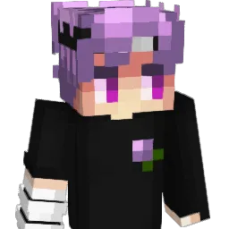 DuckHub954's Minecraft skin