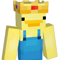 Duck_MC22