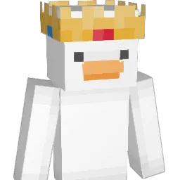 Duck__7 Minecraft avatar bust