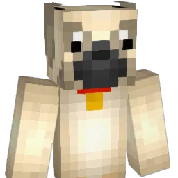 Duckplanet Minecraft avatar bust