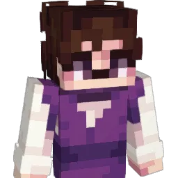 Duckyfluxer's Minecraft skin