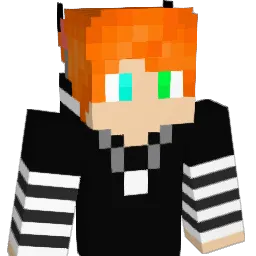 DudeDingo Minecraft avatar bust