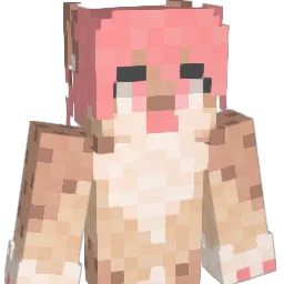 DuderinoHD Minecraft avatar bust