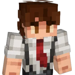 Dudesnaps Minecraft avatar bust