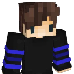 Duduzinho0709 Minecraft avatar bust