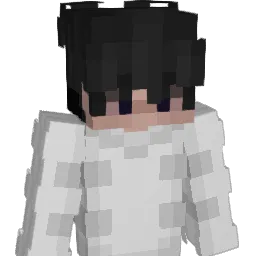 DulePropeler's Minecraft skin