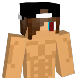 DullVirus Minecraft avatar bust