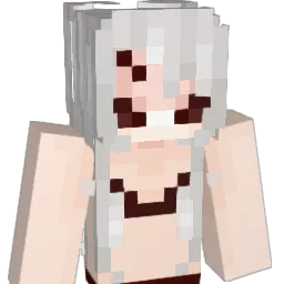 Dullint Minecraft avatar bust