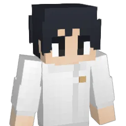 Dullwit