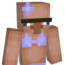 DumbAsADoor8 Minecraft avatar bust