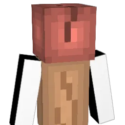 DummerXiro